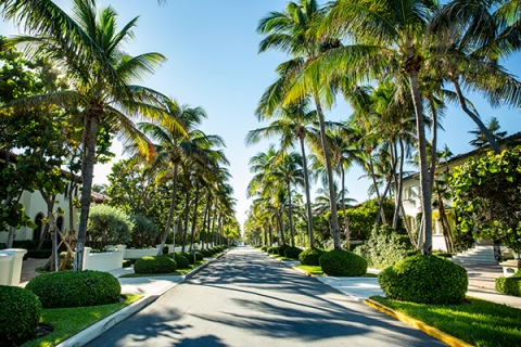 Discover South Florida with Catena & Castro Florida Real Estate